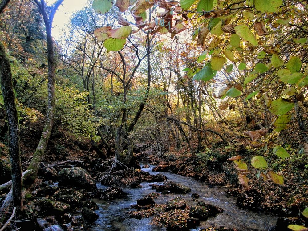Photograph by Dragoslav Macanović
