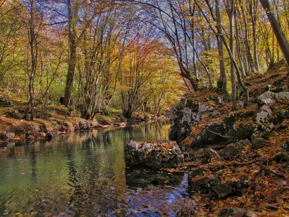 Photograph by Dragoslav Macanović