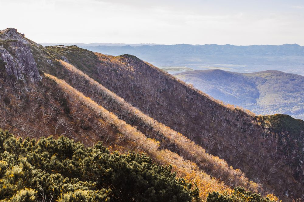 Photograph by Anna Turks