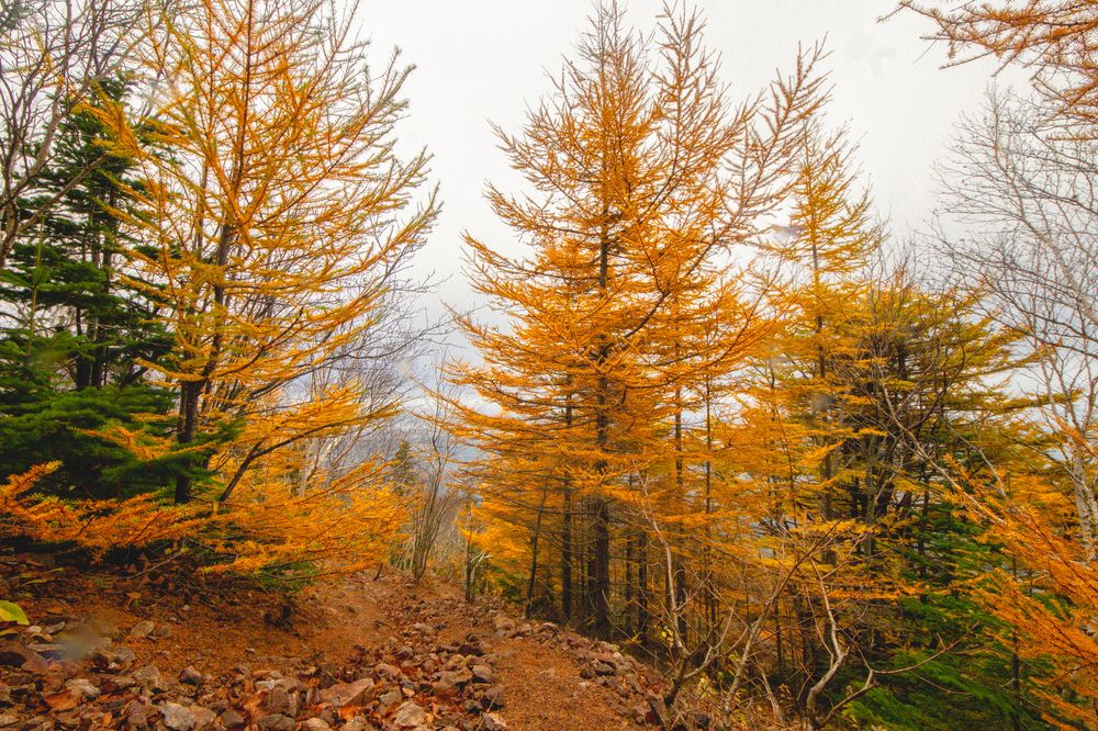 Photograph by Anna Turks