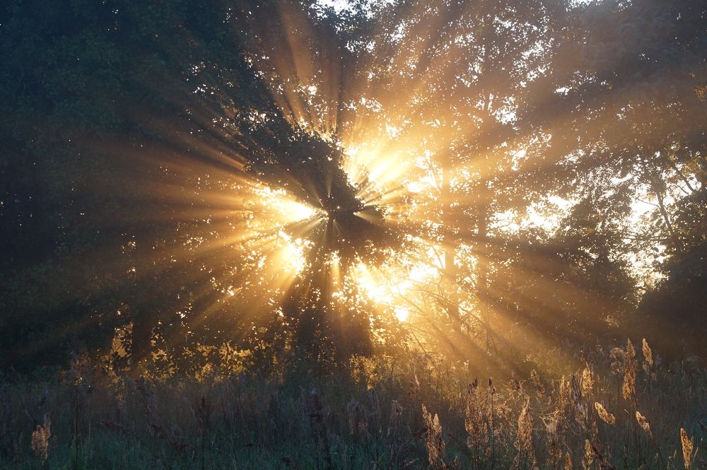 Фотография автора Jevgeni Filimonov