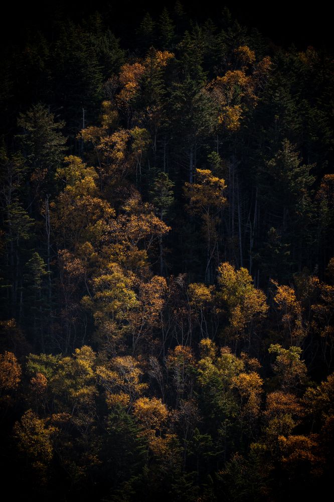 Photograph by Anna Turks