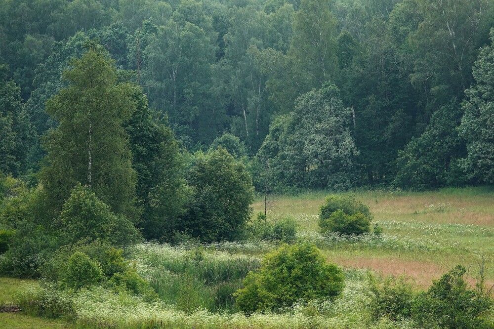 Photograph by Zakharov Matvey