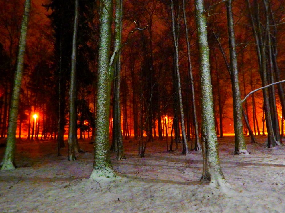 Фотография автора Jevgeni Filimonov