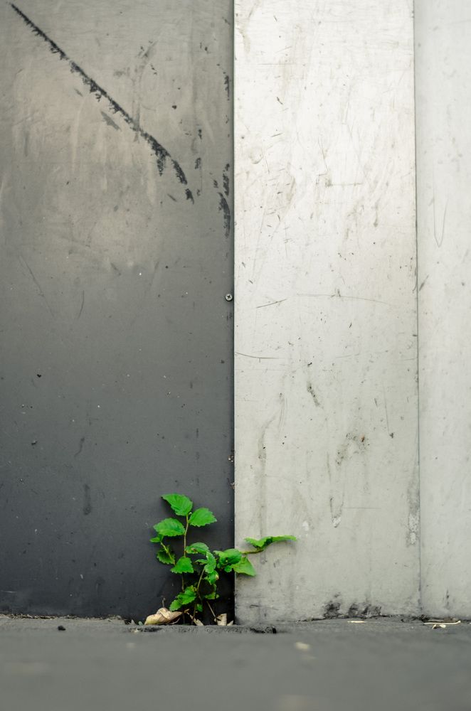 Фотография автора Mohammad Mohammadpour