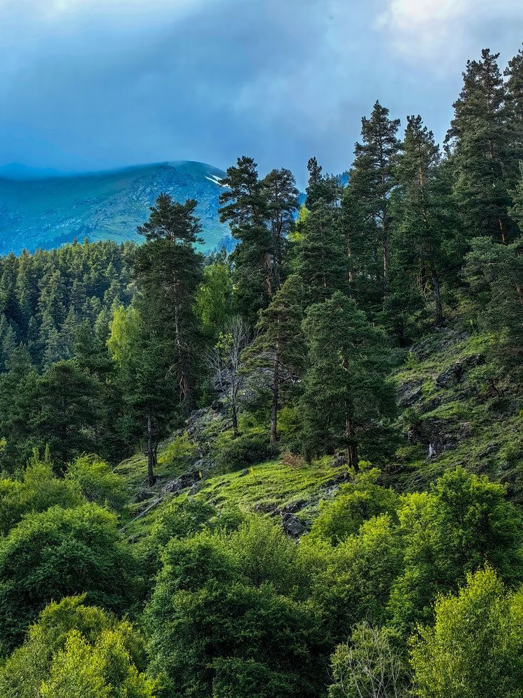 Photograph by Igor M.