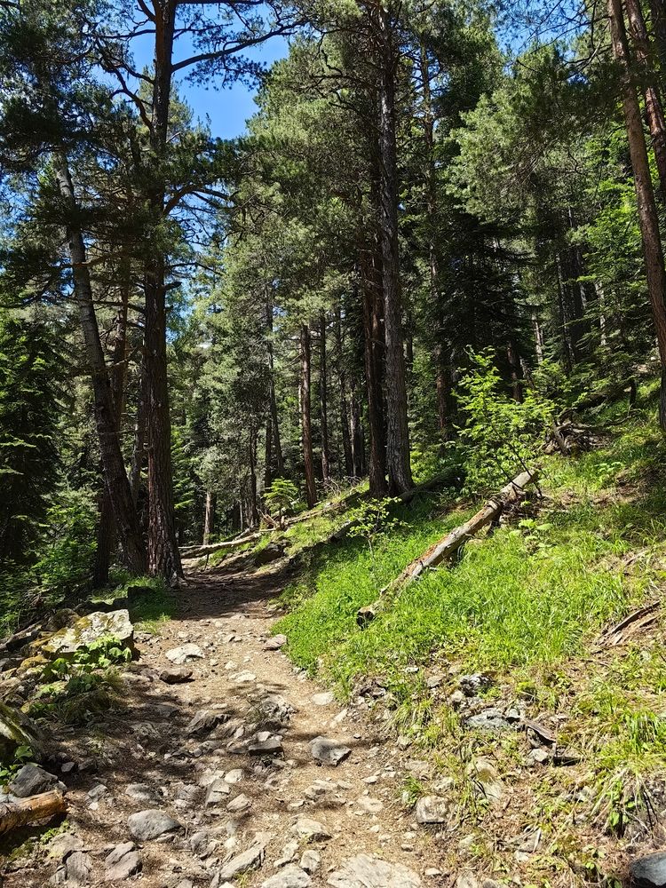 Photograph by Igor M.