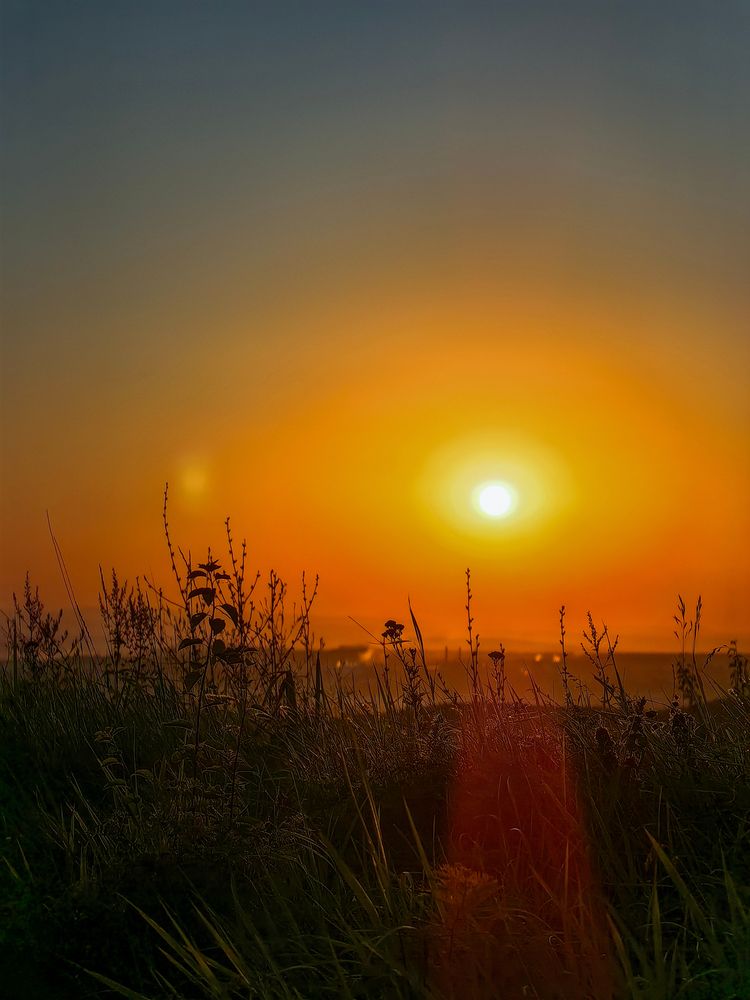 Photograph by Igor M.