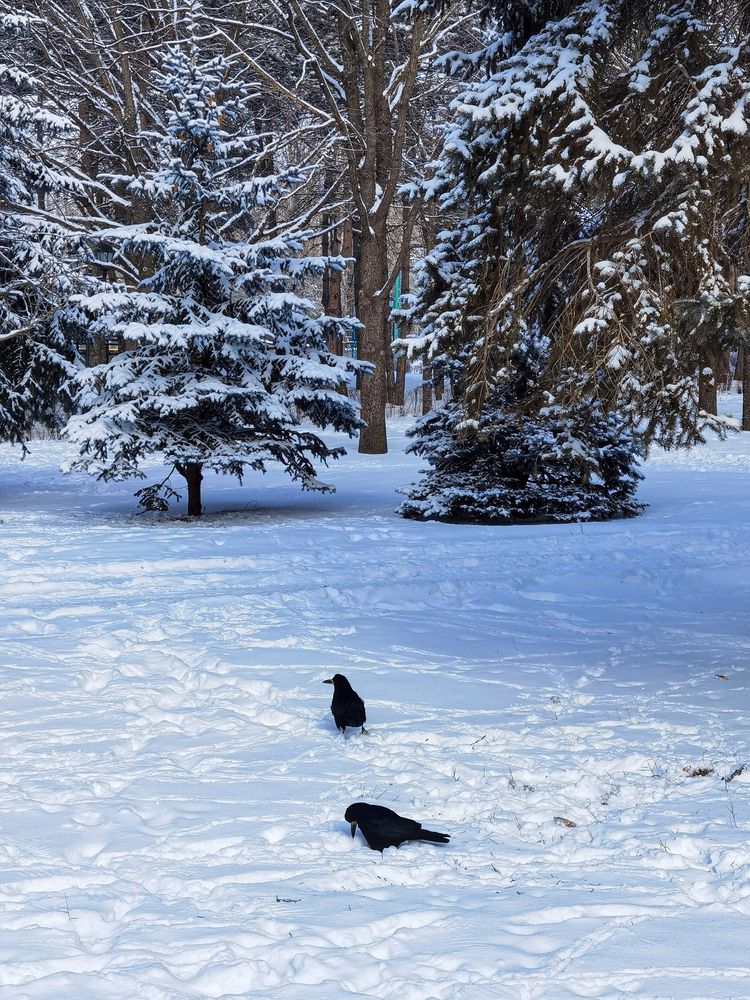 Photograph by Igor M.