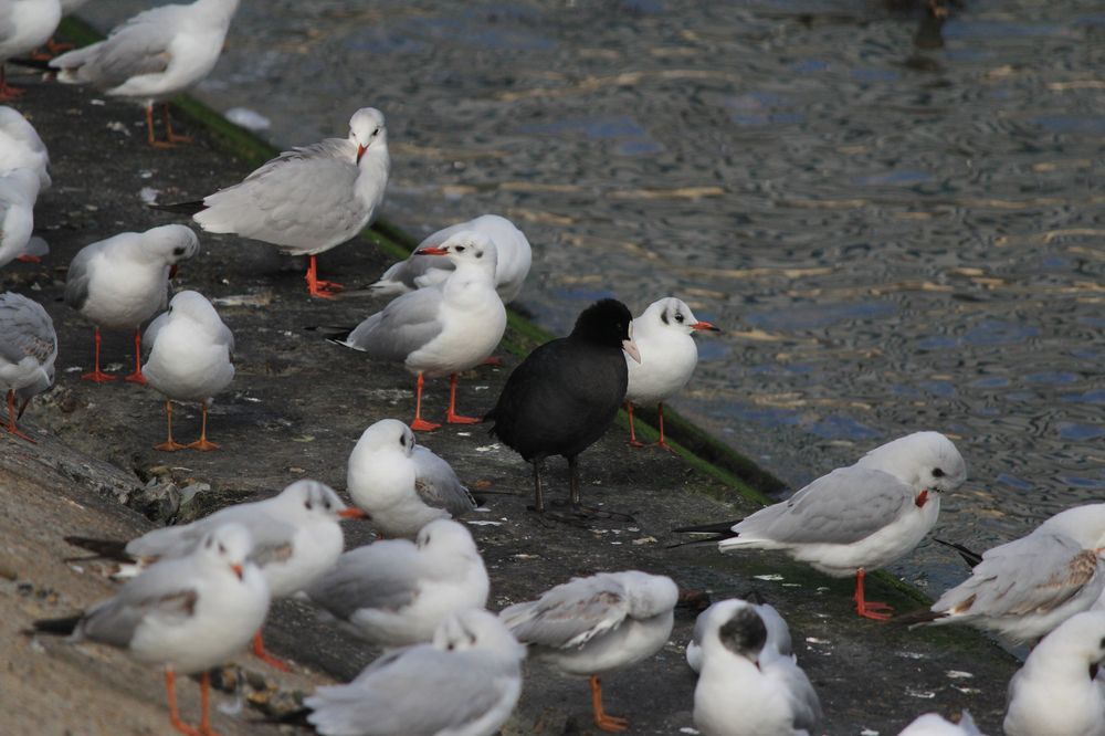 Photograph by Степан Конев