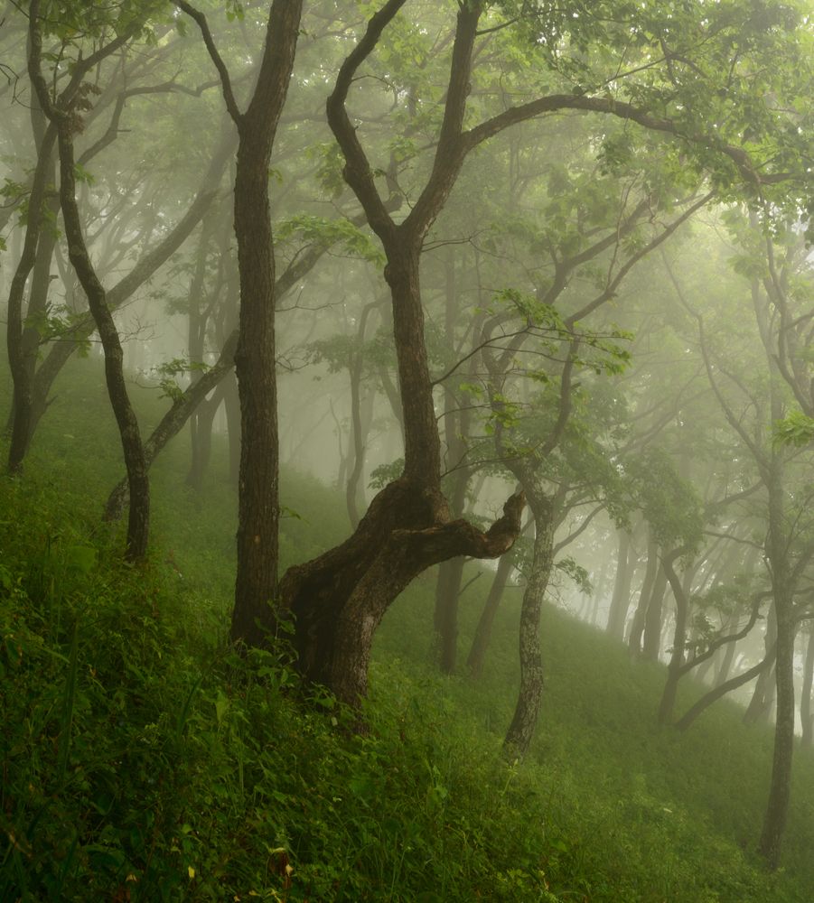 Photograph by Едуш Сергей