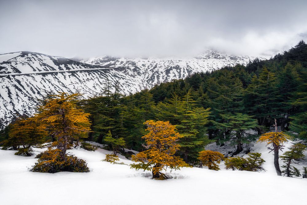 Photograph by Fehd Ghammit