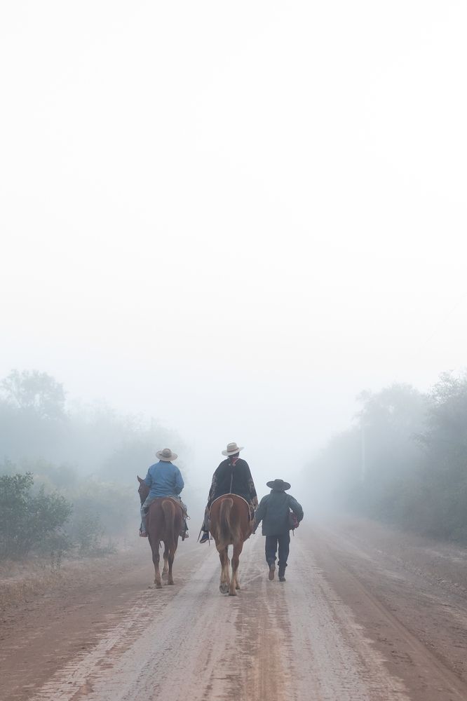 Фотография автора KEVIN ROLAISER