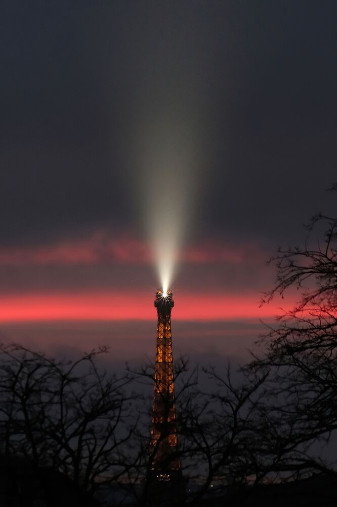 Продолговатые вертикальные объекты на фоне светящегося неба