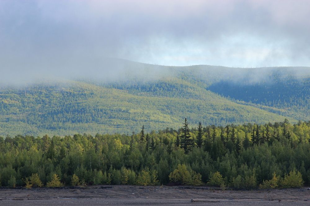 Photograph by Александр Велигура