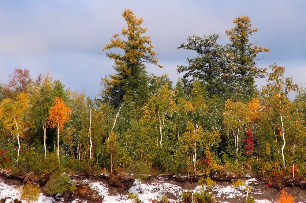 Photograph by Александр Велигура
