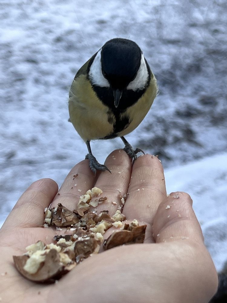 Photograph by Елизавета Можельская