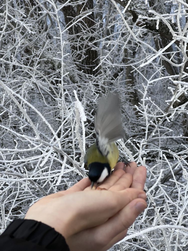 Photograph by Елизавета Можельская