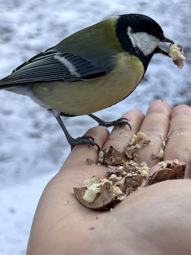 Photograph by Елизавета Можельская