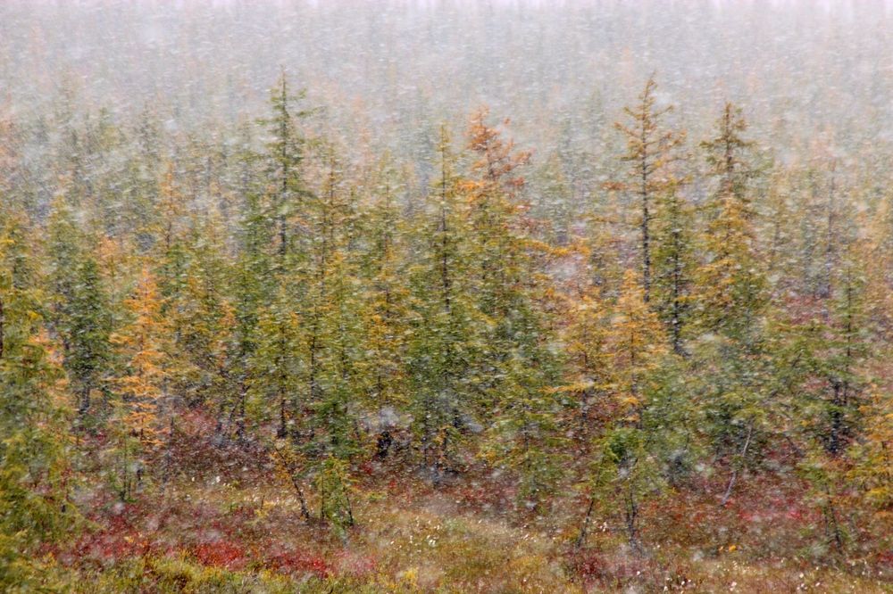 Photograph by Александр Велигура