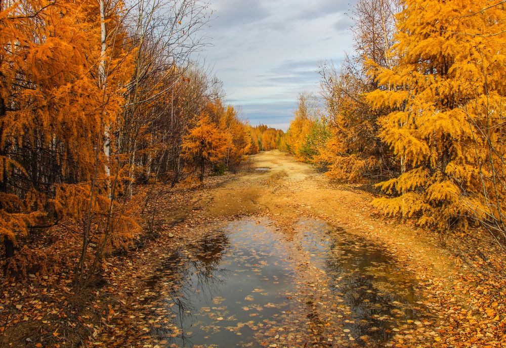 Photograph by Михаил Мархинин