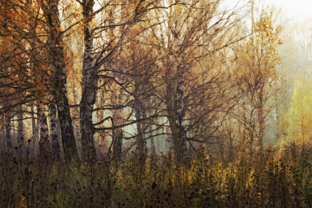 Photograph by Гагик Мхитарян