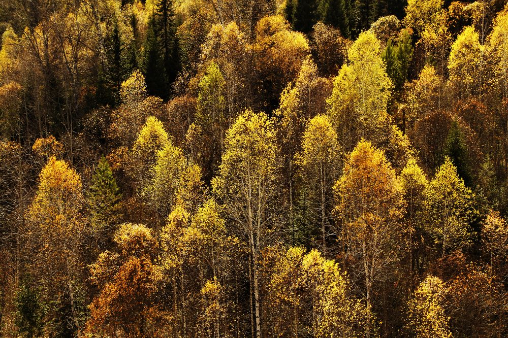 Photograph by Гагик Мхитарян