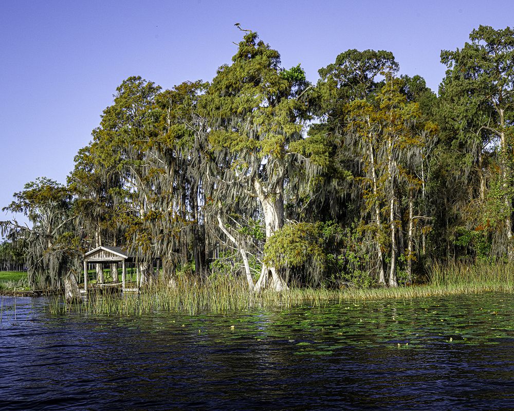 Фотография автора Ray Asiala