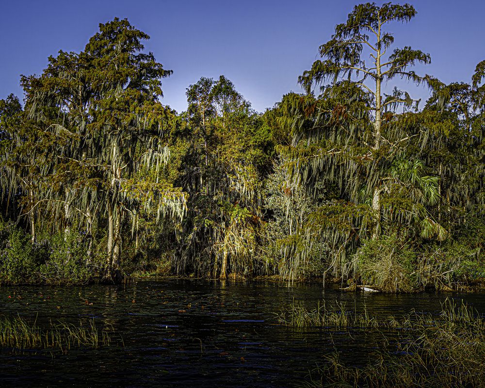 Фотография автора Ray Asiala