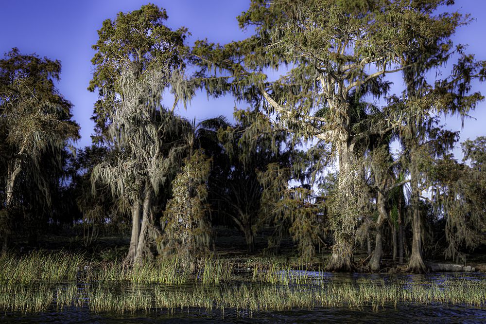 Фотография автора Ray Asiala