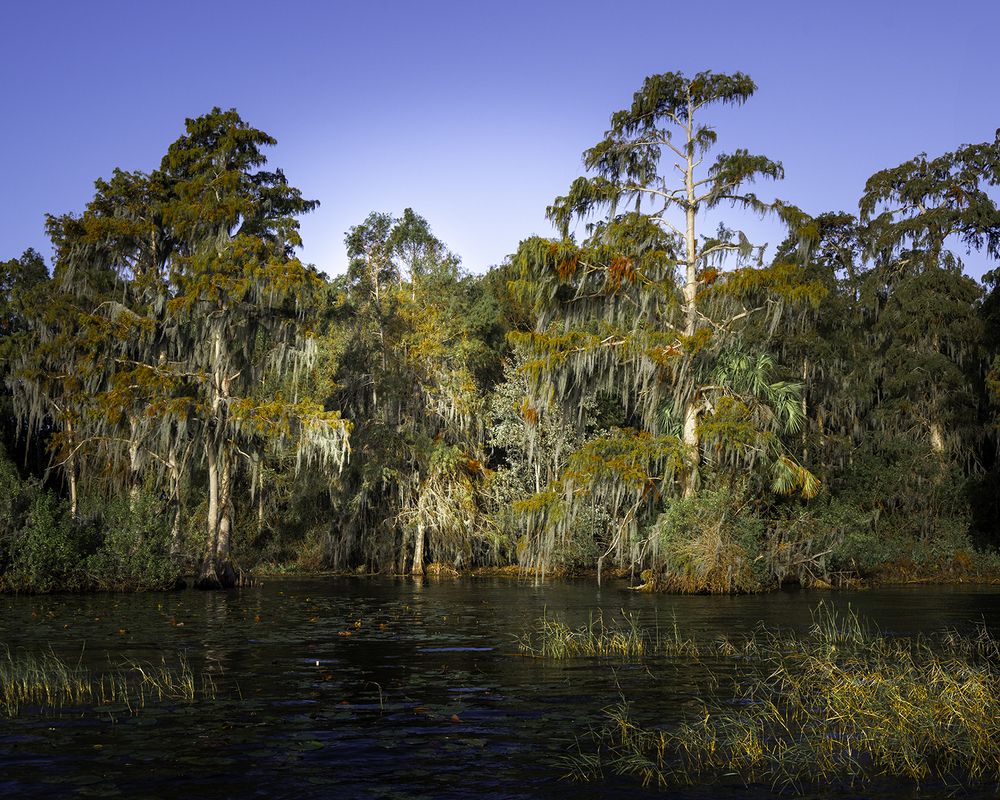 Фотография автора Ray Asiala