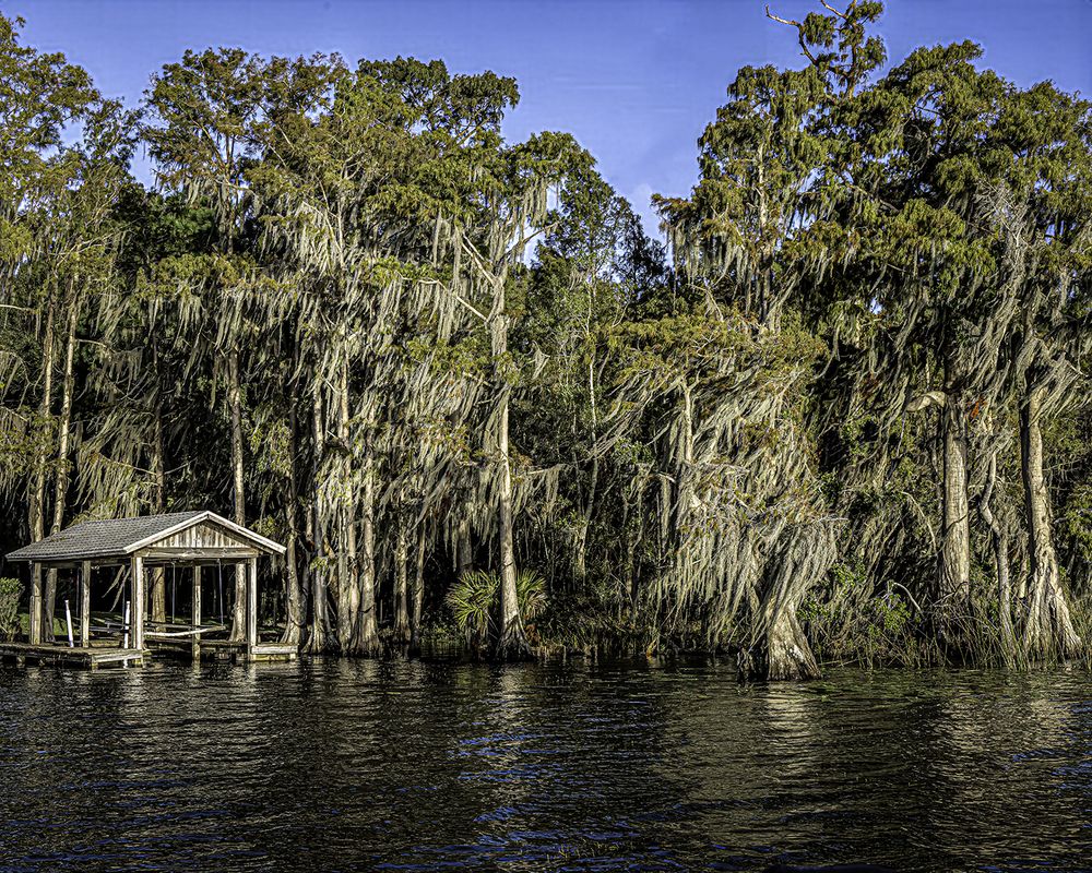 Фотография автора Ray Asiala