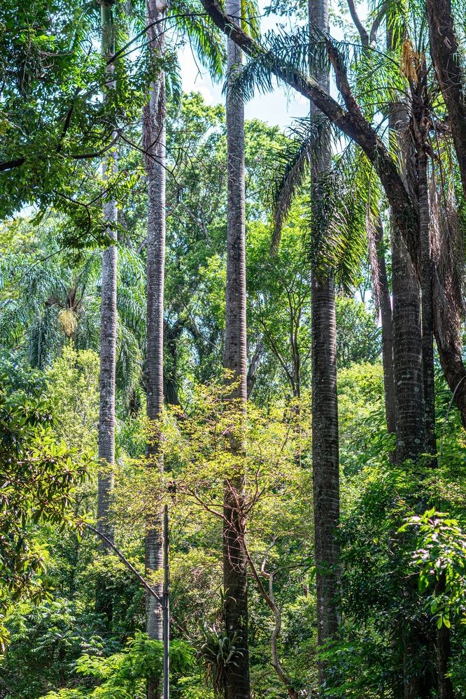 Фотография автора Antonio Etevaldo Rodrigues Junior