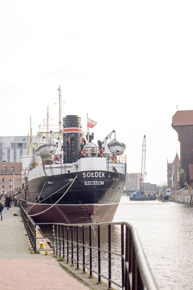 Фотография автора Dari