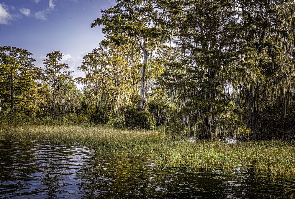 Фотография автора Ray Asiala