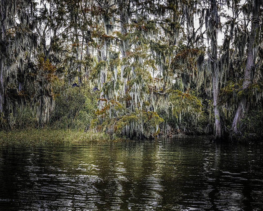 Фотография автора Ray Asiala