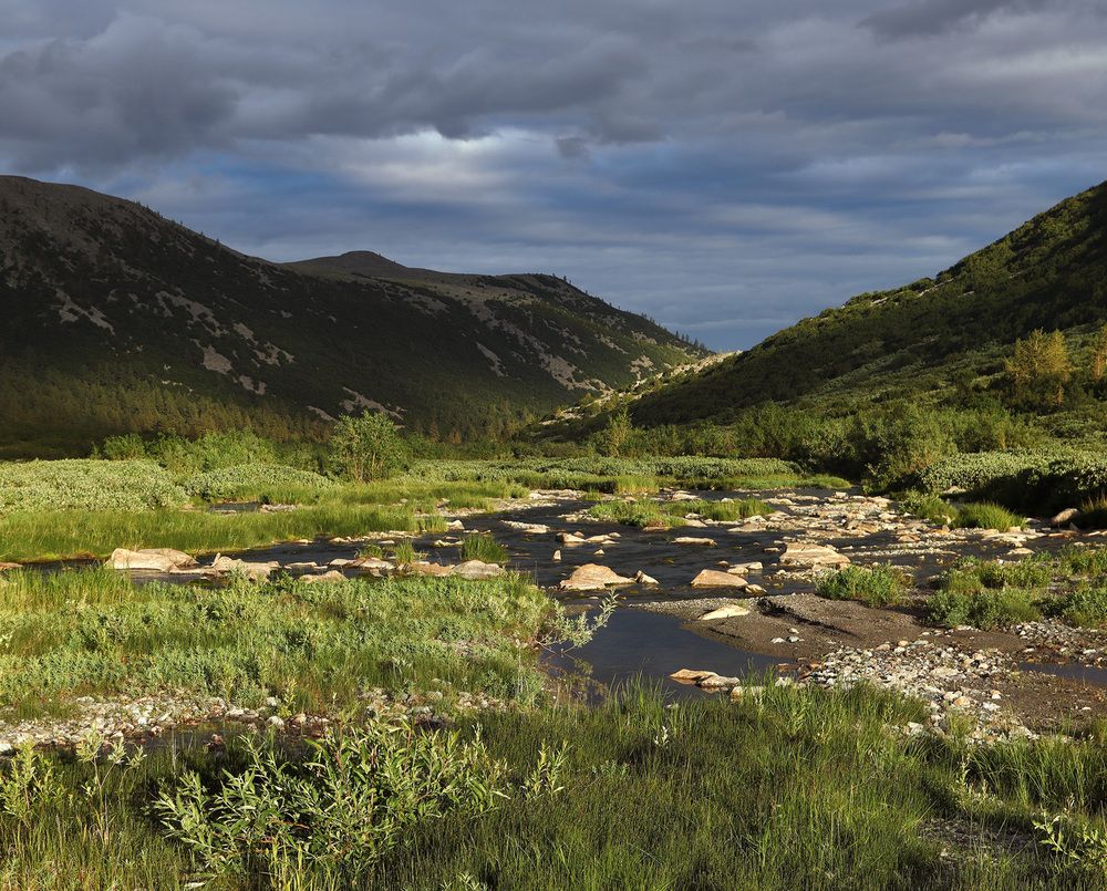 Photograph by Олег Фокин