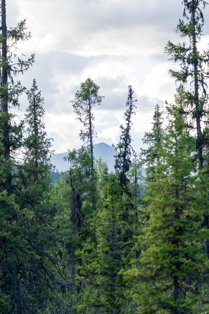 Фотография автора Ruslan Badykov