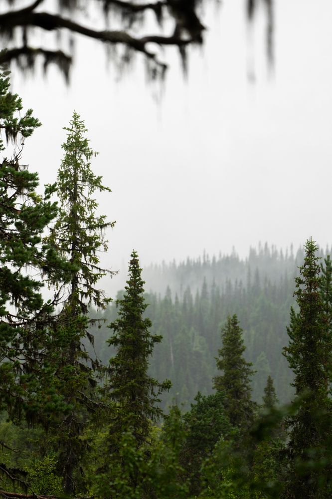 Фотография автора Ruslan Badykov