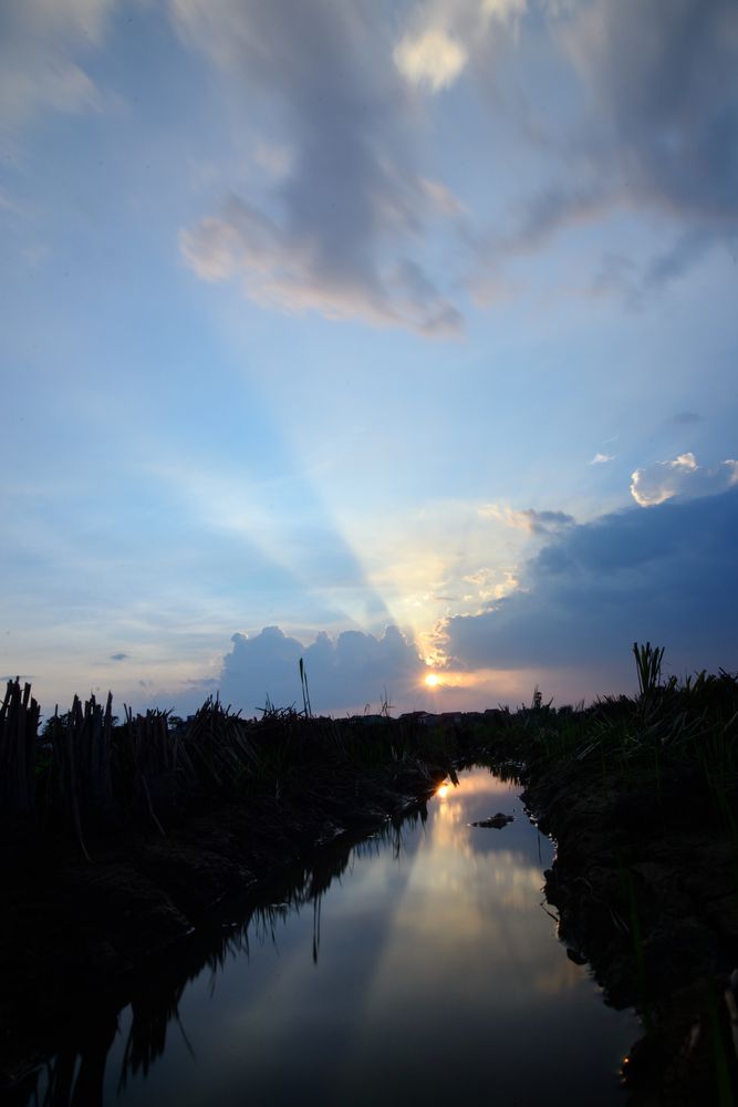 Фотография автора Bùi Nguyễn