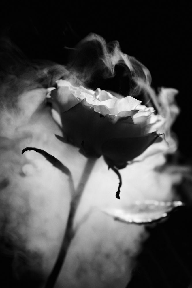 Photograph by Юлия Зозуля