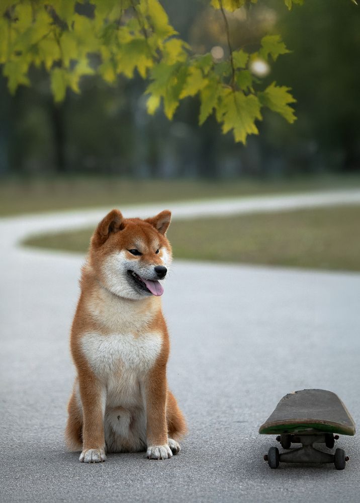 Фотография автора Татьяна Анпилова