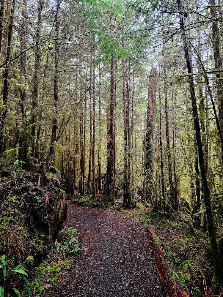 Photograph by G GOVIL