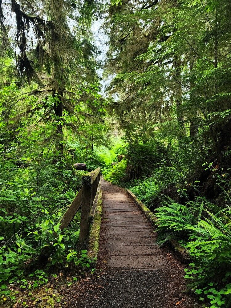 Photograph by G GOVIL