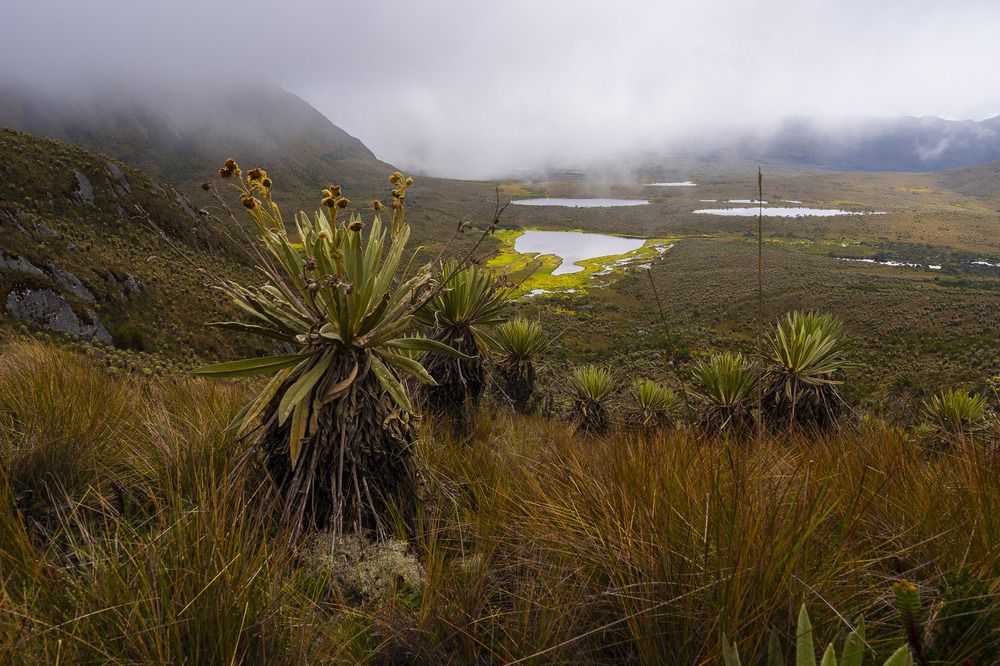 Photograph by Kevin Molano Ph