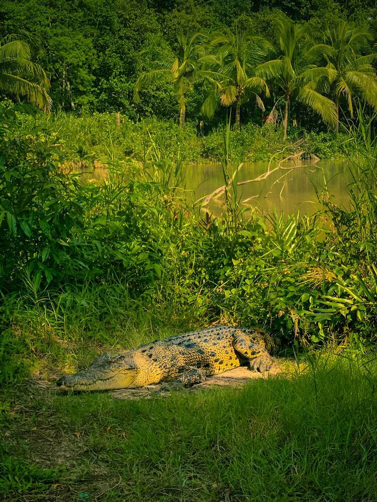 Photograph by Md. Farhan Rahman