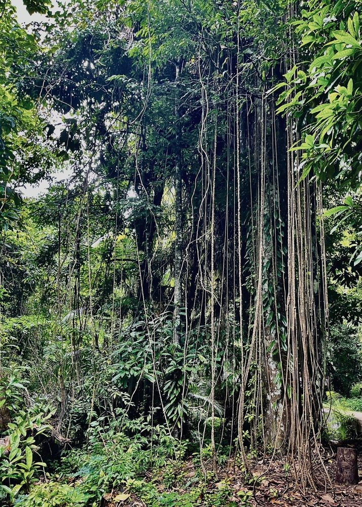 Photograph by Ольга Белоусова