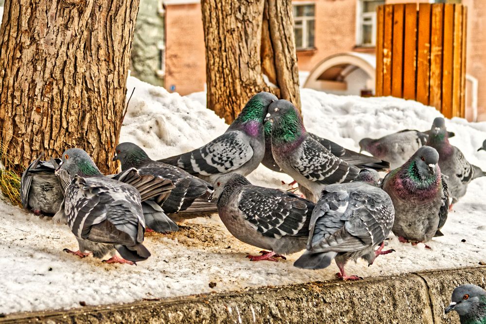 Фотография автора Михаил Кругов