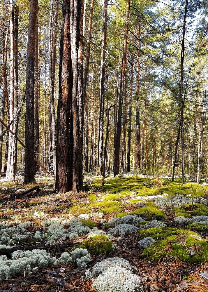 Photograph by Ольга Белоусова