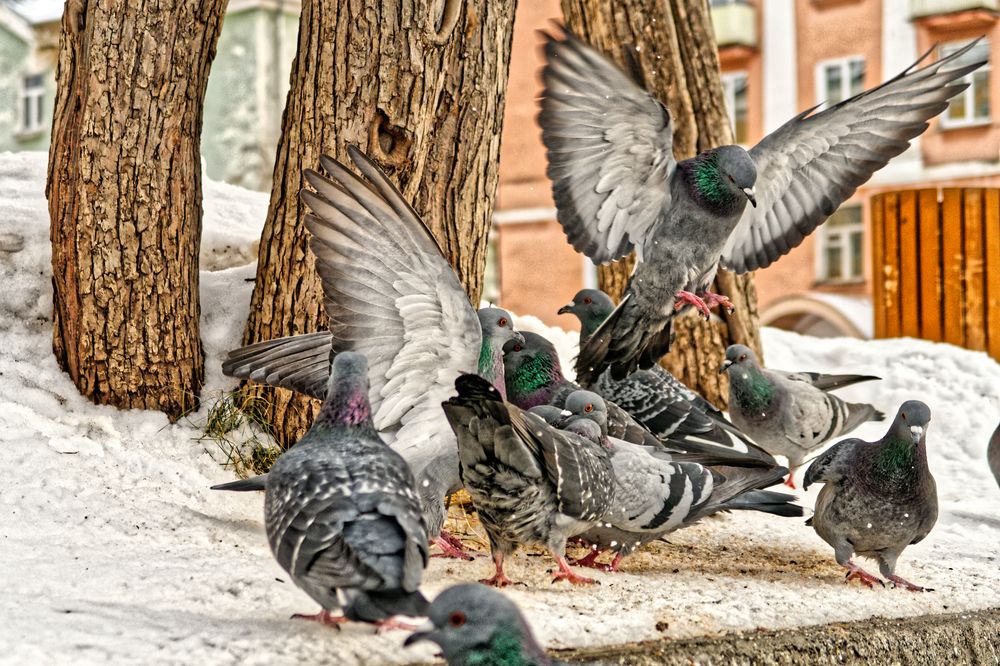Фотография автора Михаил Кругов